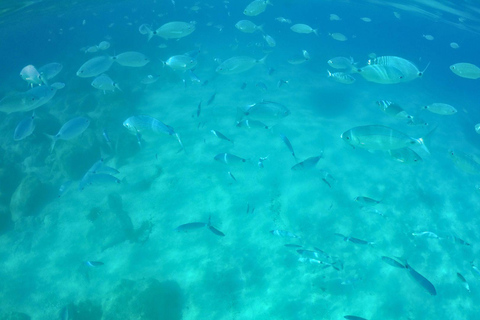 Cala Gonone: Gulf of Orosei Catamaran Cruise with Aperitif