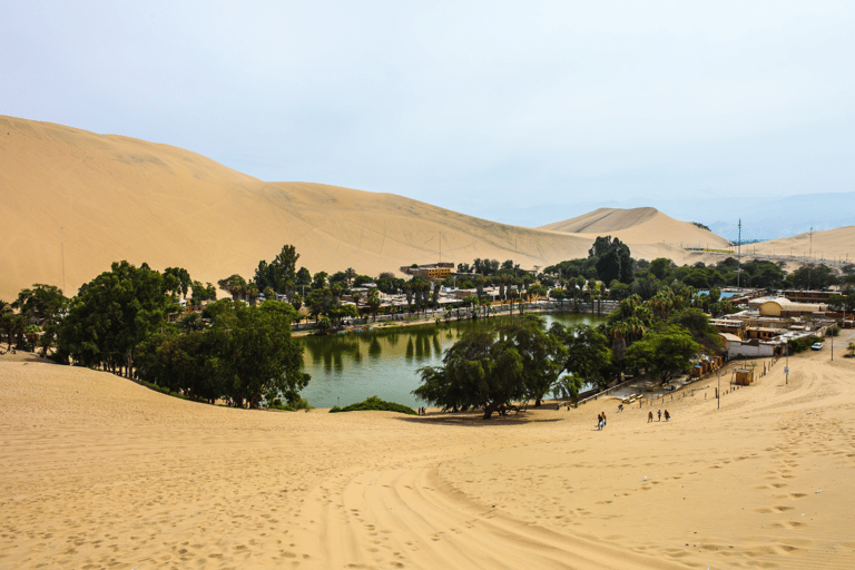 Lima: Ballestas Eilanden, Nazca Lijnen en Huacachina Tour