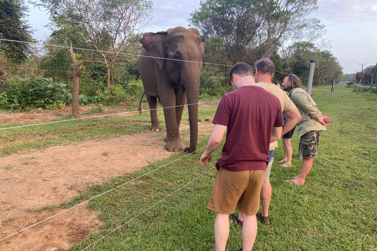 8 Tage Rundreise durch die wunderschöne Natur Sri Lankas