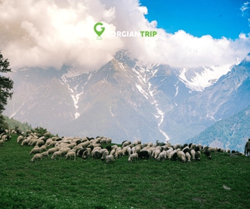 Kazbegi tour