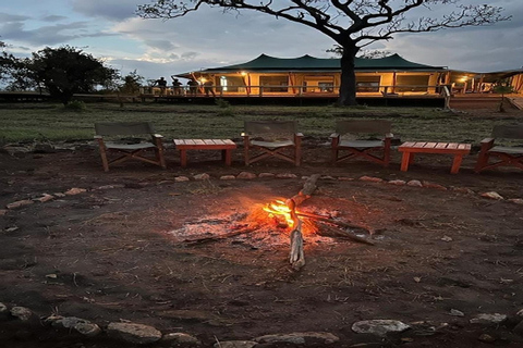 Desde Zanzíbar: Safari de 3 días en Serenget y Ngorongoro, tour privado