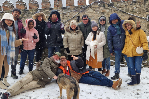 Tbilissi : Kazbegi et les points forts des montagnes du Caucase - Excursion d'une journée