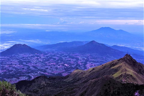 Von Yogyakarta aus: Berg Merbabu TageswanderungMount Merbabu Tageswanderung