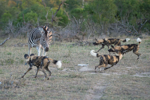 Lake Manyara, Ngorongoro Crater 2 Day Safari Budget Tour Lake Manyara, Ngorongoro Crater 2 Day Safari