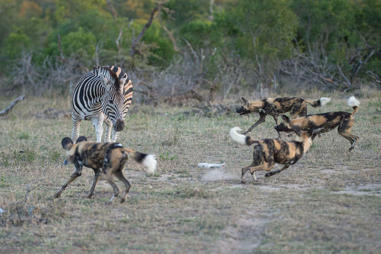 Lake Manyara, Ngorongoro Crater 2 Day Safari Budget Tour Lake Manyara, Ngorongoro Crater 2 Day Safari
