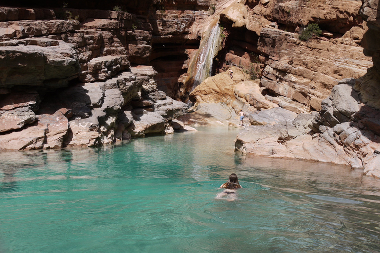 Agadir o Taghazout: Paradise Valley Atlas Mountain e pranzo