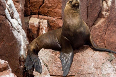 Peru Fantastic Lima-Ica-Cusco, Machupicchu, Lake Humantay 8D