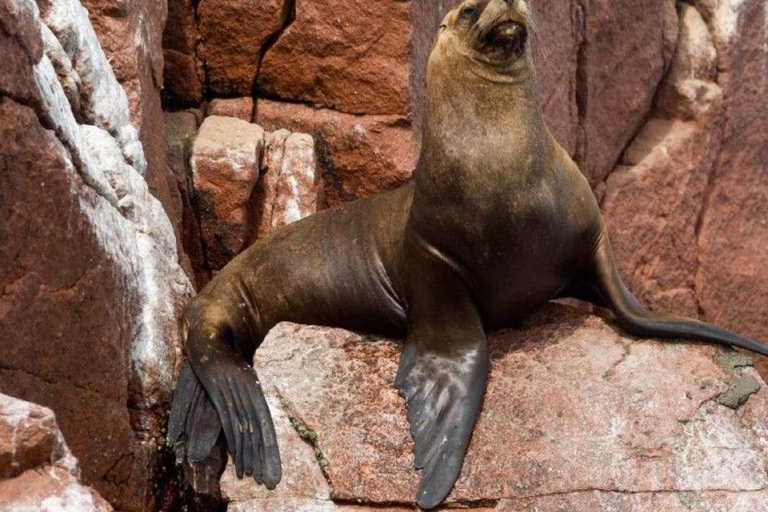 Peru Fantastic Lima-Ica-Cusco, Machupicchu, Lake Humantay 8D