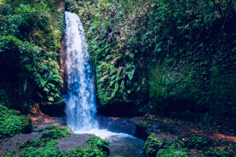 Ubud: Horse Riding, Zip-Line Tour & Manuaba Waterfall Tour Zip-Line Adventure & Manuaba Waterfall Tour