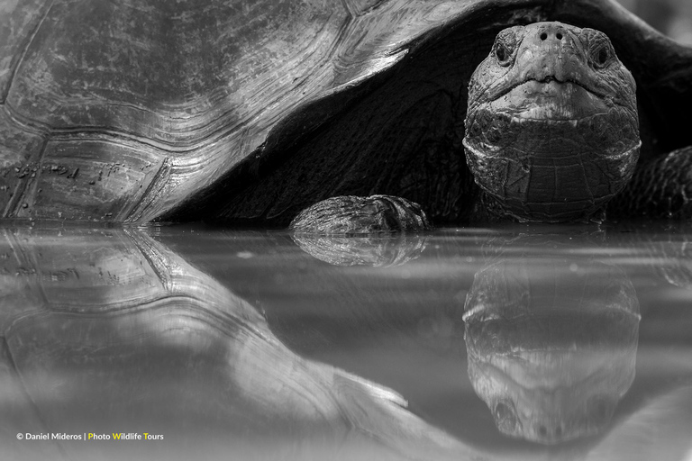 San Cristobal: Highlands, Beach, and Snorkeling Tour