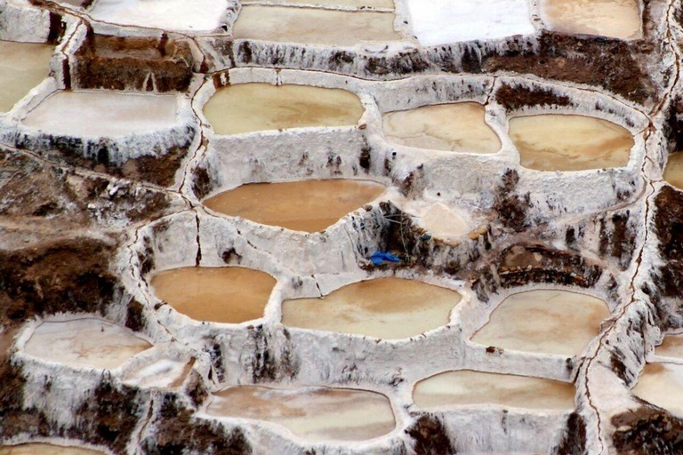 Half-day tour to Maras and Moray with local guide and panoramic views