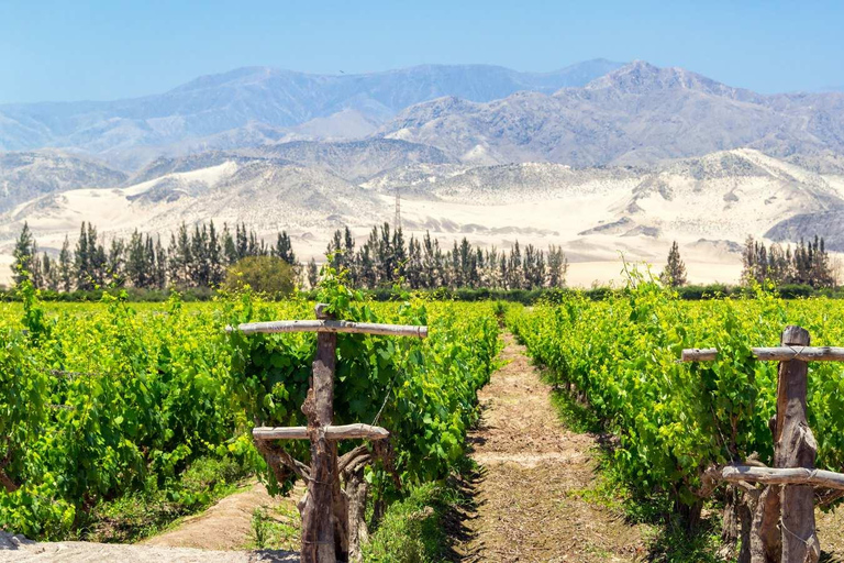 Circuit de dégustation de pisco et de vin - Embarquement sur la route du pisco