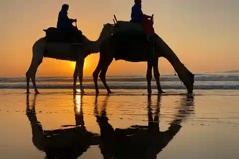 Quad Biking & Camel Riding Combo: Thrill Meets Tradition