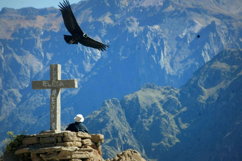 Arequipa : Visite à la journée du Canyon de Colca et des bains thermaux