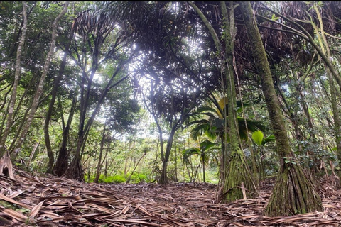 Mare Aux Cochon (Private Hiking Activity) - All Inclusive