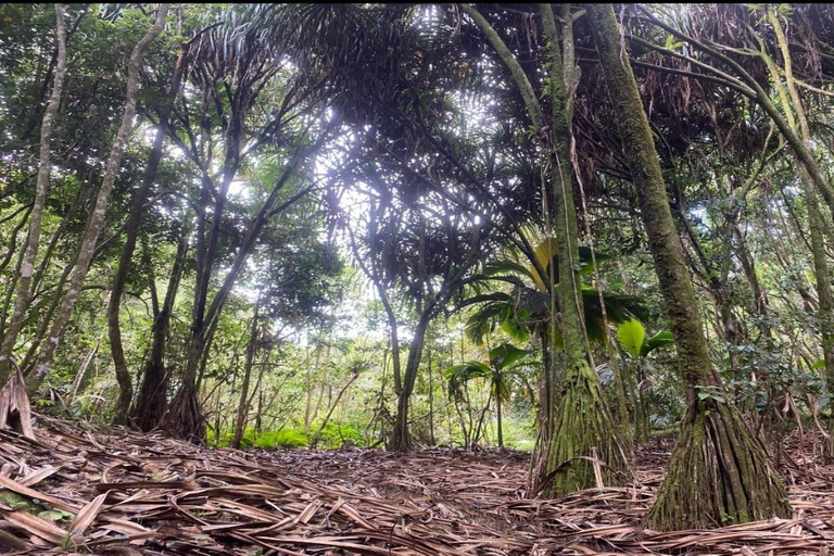 Mare Aux Cochon (Private Hiking Activity) - All Inclusive