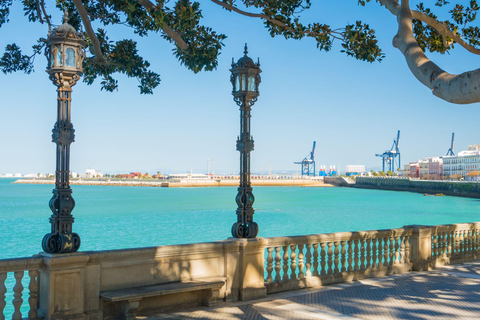 Cadiz: Private Walking Tour with Market Tasting for Cruises