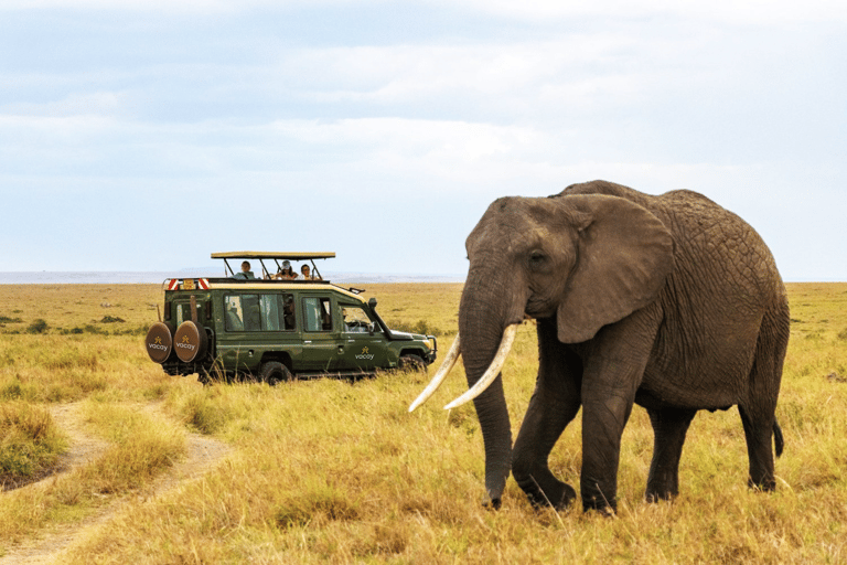 Nairobi: Maasai Mara 3-Day Safari with Game Drives