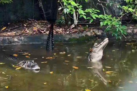 Private Tour in Manaus: Science Forest and Amazonas Theater