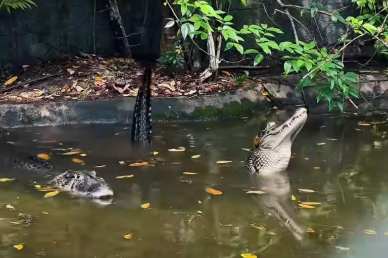 Private Tour in Manaus: Science Forest and Amazonas Theater