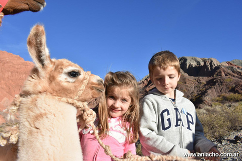 Purmamarca: Hiking with Llamas through multicolored mountains