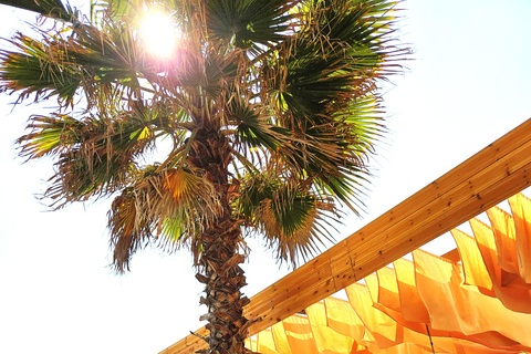 Tirana: Durrës Beach and Culture Tour with Guide Full-Day Coastal Tour from Tirana, Beach Stop & Local Guide