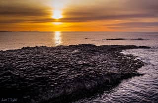 Belfast: Geführte Tagestour zum Giant's Causeway und nach Derry