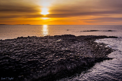 Belfast: Giant's Causeway and Derry Guided Day Trip