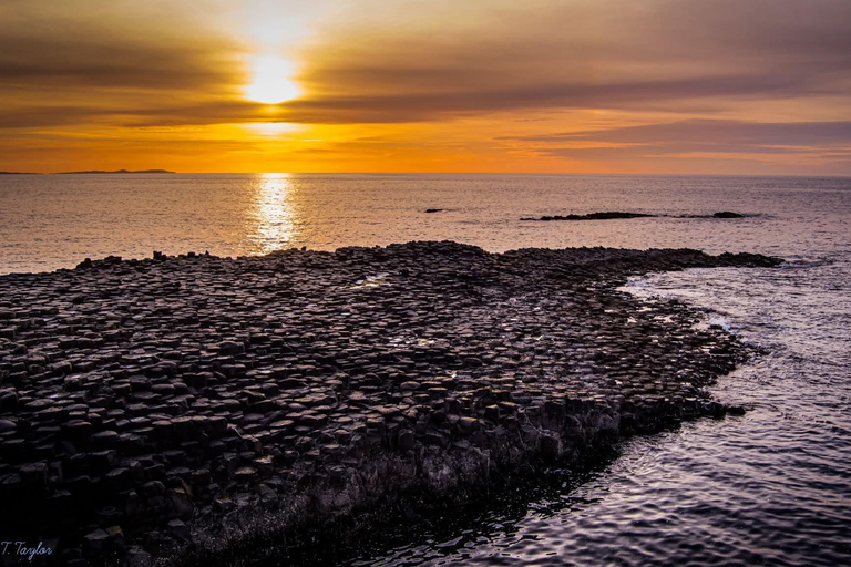 Belfast: Giant's Causeway and Derry Guided Day Trip