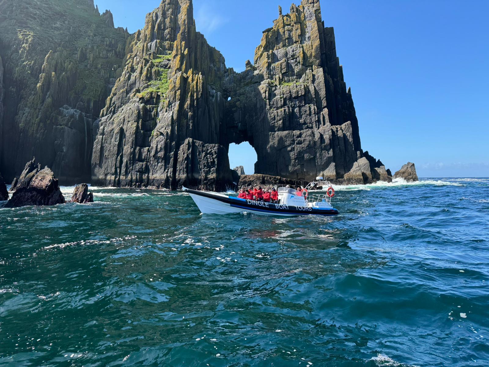Dingle: Private Bootstour mit dem Festrumpfschlauchboot