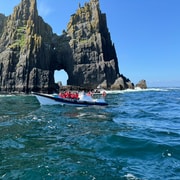Dingle: Wildlife RIB Adventure Private Boat Tour Dingle: Wildlife RIB Adventure Private Boat Tour