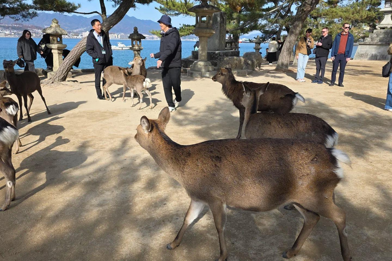 Osaka Departure: Hiroshima World Heritage Classic Day Trip Hiroshima World Heritage Classic Day Trip