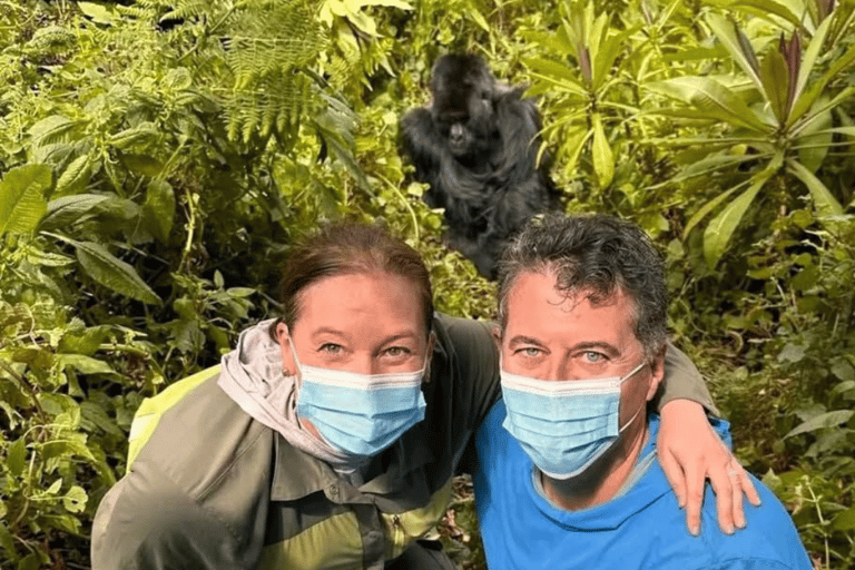 From Kigali: 1-Day Gorilla Trekking Volcanoes National Park From Kigali: 1-Day Gorilla Trekking in Uganda