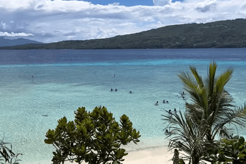 Oslob: Whale Sharks, Tumalog Falls & Sumilon Trio Adventure