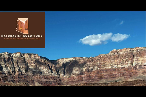 Pine: Enjoyable Arizona Hiking Experience