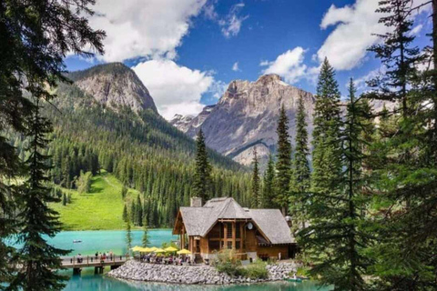 Banff Gondola, Lake Louise, Emerald Lake, Minnewanka Cruise Canmore Pickup