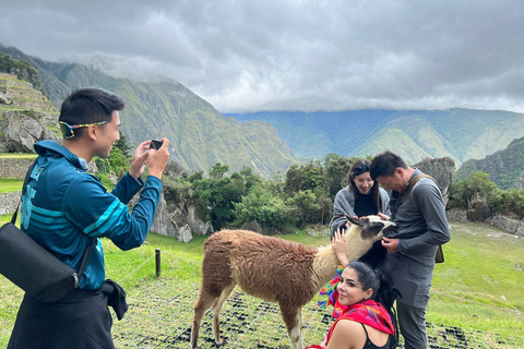 Da Cusco: Tour di un giorno a Machupicchu con il treno della spedizione