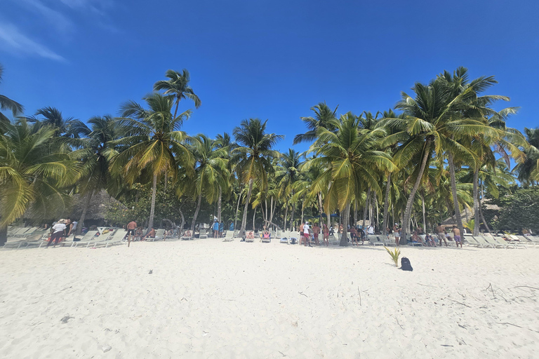 VIP tour to Saona Island by speedboat with a visit to paradise beaches SAONA ISLAND VIP SPANISH