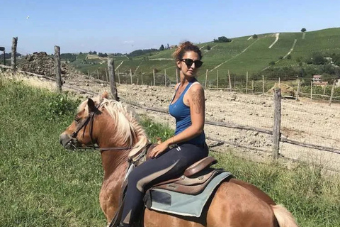 Monferrato: Horseback Riding in Nature with Lunch at a Farmhouse