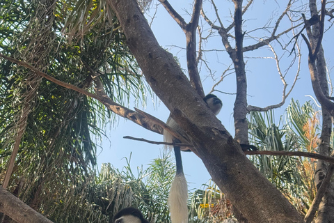 Addis Abeba: 21-dniowa wycieczka do Doliny Omo