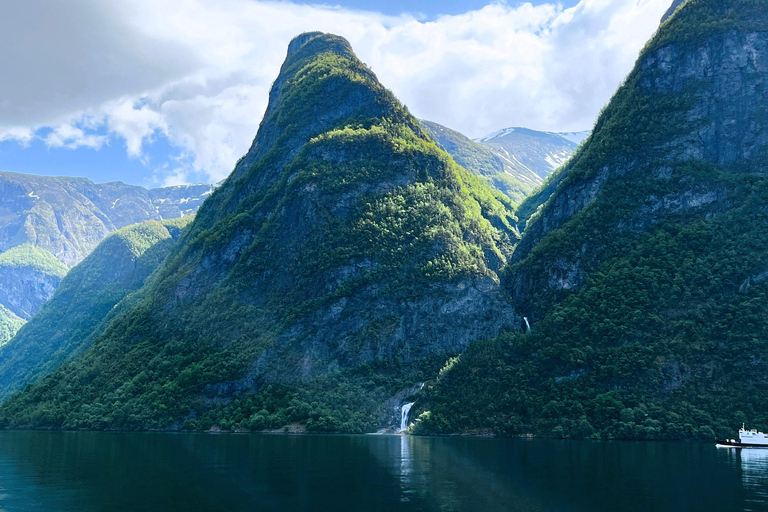 Bergen: Early Express Flåm Railway & Nærøyfjord Cruise
