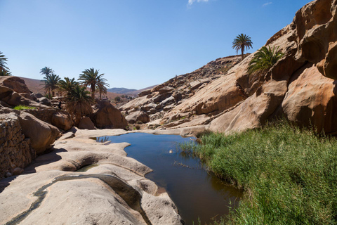 Fuerteventura: Odkryj naturalne cuda wyspy