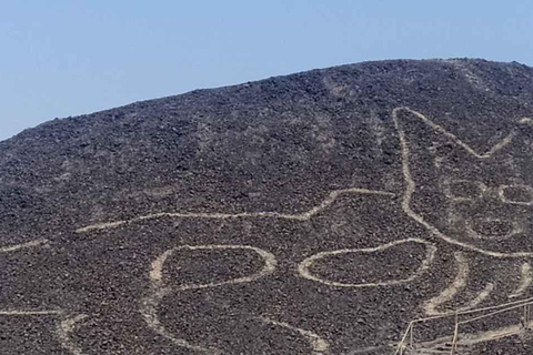 De Ica: Viagem de 1 dia às Linhas de Nazca e ao Museu Maria Reiche