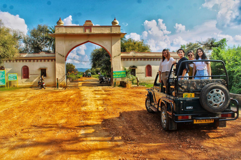 Circuit de 2 jours au départ de Delhi pour découvrir le patrimoine et la faune de Jaipur et SariskaCircuit sans hébergement