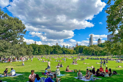 Najlepsze atrakcje Nowego Jorku: wycieczka piesza po najważniejszych atrakcjach Central Parku2-godzinna wycieczka piesza