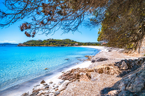 Da Santa Teresa Gallura: tour in motonave a La Maddalena From Santa Teresa Gallura