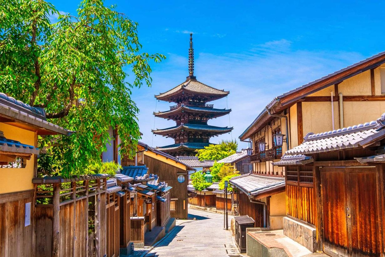 Kyoto/Osaka: Kyoto and Nara World Heritage Day Tour Trip from Kyoto Station 9:50AM