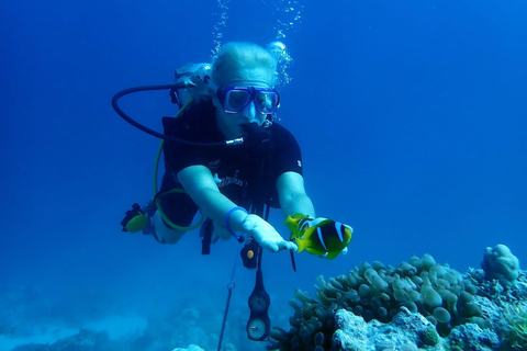 Hurghada: Scuba Diving cruise with lunch & pickup Single Beginner introduction dive with pickup and lunch