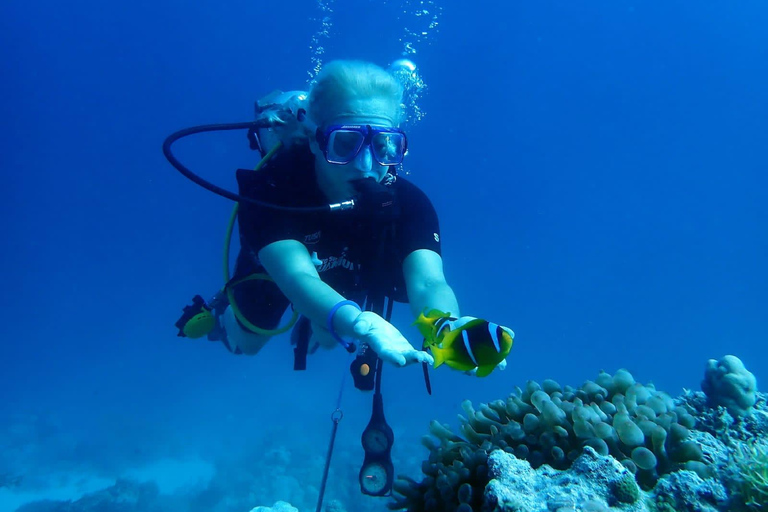 Hurghada: Scuba Diving cruise with lunch & pickup Single Beginner introduction dive with pickup and lunch