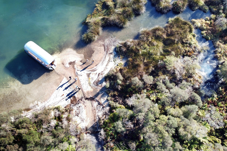 Rotorua: Lake Rotoiti scenic cruise with glowworm caves